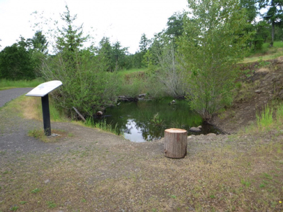 Pond on Blacktail Way with interpretive signage